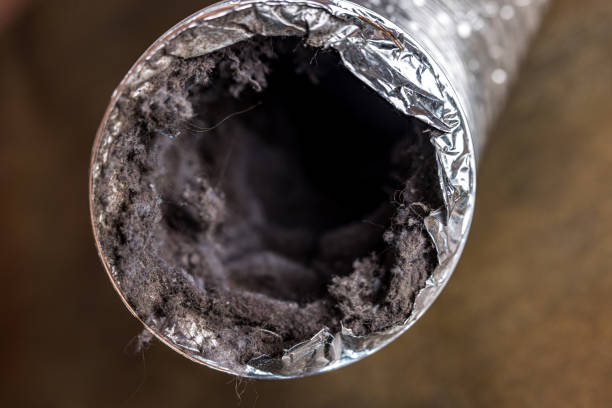 Best Home Air Vent Cleaning  in Whittier, CA